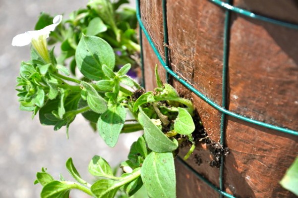 diy flower tower, flowers, gardening
