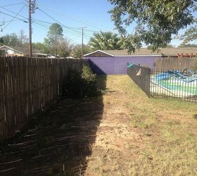 yard design help, landscape