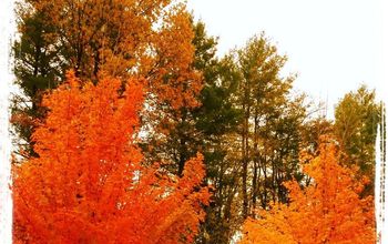Fall in Asheville, North Carolina