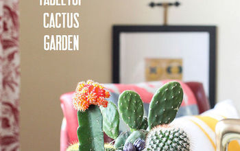 Tabletop Cactus Garden