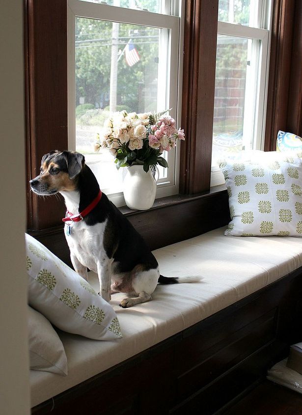 diy window seat cushion, diy, home decor, how to, windows, Of course Buckley loves his new perch for rabbit squirrel watching