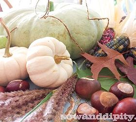 heirloom pumpkins gourds and squashes, gardening, seasonal holiday d cor, See this sage green pumpkin in a beautiful fall tablescape here