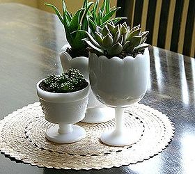 succulents in thrifted milk glass, flowers, gardening, home decor, repurposing upcycling, succulents