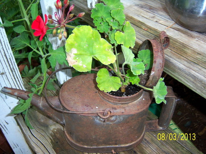more of my unusual planters, flowers, gardening, repurposing upcycling, Rusted watering can