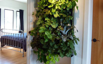 Living Wall for Small Space Gardens
