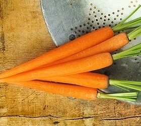 7 Kitchen Gadgets That Are Worth Your Money!