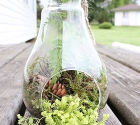 terrariums in all shapes and sizes, crafts, gardening, terrarium, There are so many cute glass vessels out there these days like this light bulb