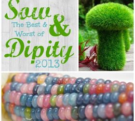 best of sow and dipity 2013, gardening