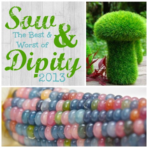 best of sow and dipity 2013, gardening