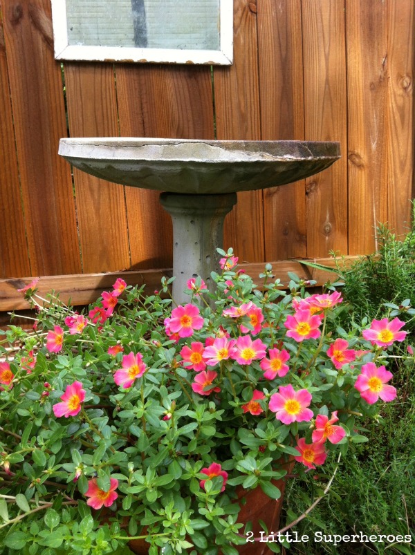 how to weatherproof a garden mirror, diy, gardening, how to, outdoor living, painting