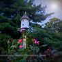 Summerset Gardens