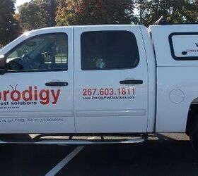 prodigy pest solutions