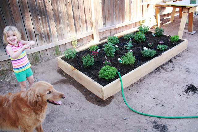 planting a kitchen garden, diy, gardening, homesteading, kitchen design, raised garden beds, woodworking projects