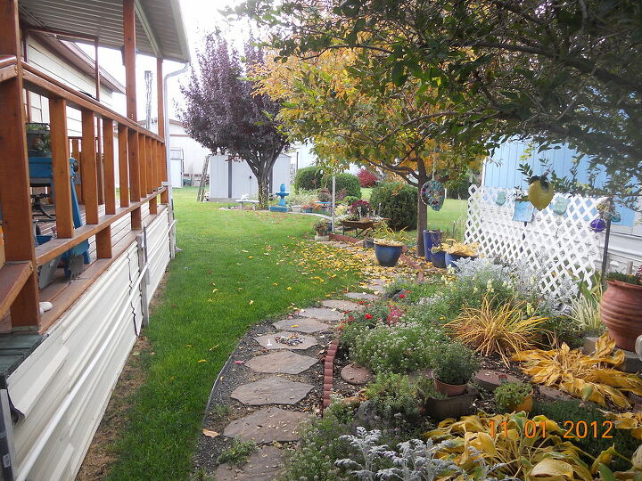 cleaning up garden for winter, flowers, gardening