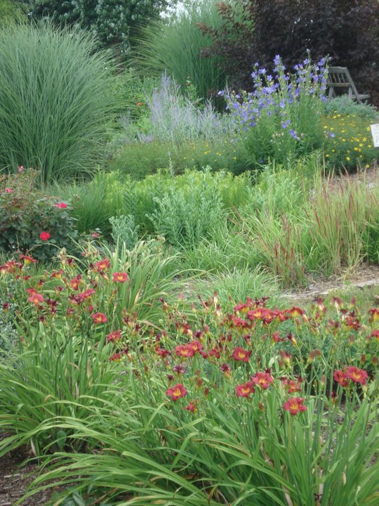 comparte usted las vistas de su jardn para animar a otros a probarlo