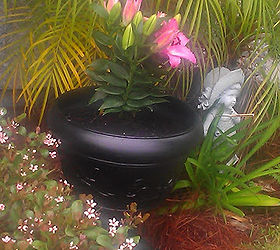 a painted planter, gardening, outdoor living, A little close up