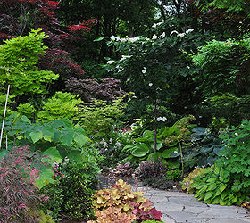 another example of a beautiful shade garden, Throughout the garden and especially along its outer perimeter mature trees cast pockets of Garden Canadensis into shade and part shade