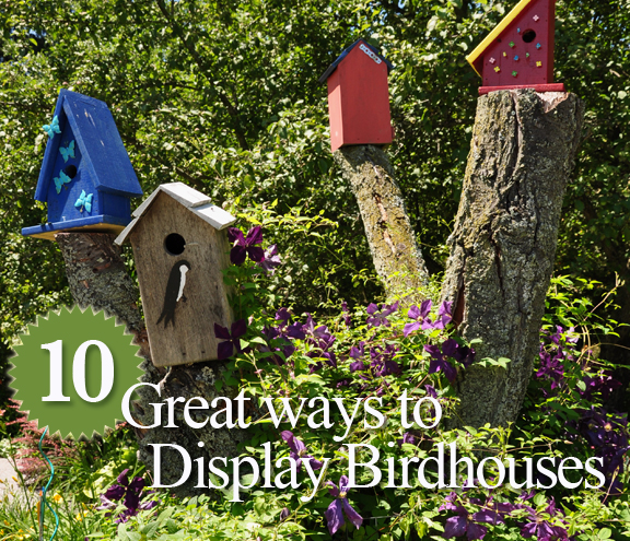 10 grandes maneras de mostrar birdhouses en su jardin