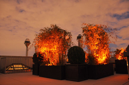 nyc rooftop, outdoor living, urban living, Live Bamboo screening A C equipment Really neat look with the amber lenses create a firelike feel at night