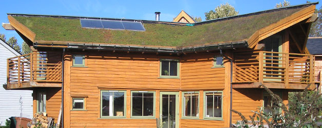 energy efficient roofing options for homeowners, go green, roofing, Today s homeowners need to save as much money as possible the future of sustainability here and ready for you to take full advantage of What are the Energy Efficient Roofing Options for Homeowners