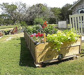 garden box or coffin, flowers, gardening, raised garden beds, repurposing upcycling, Progress July 3 2013 B
