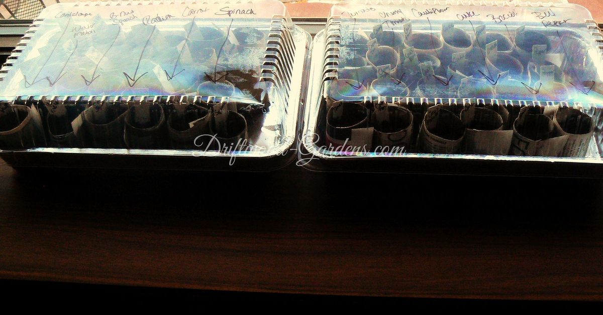 Starting Seeds for the 2014 Vegetable Garden | Hometalk