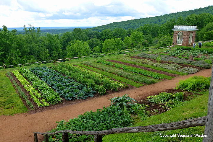 a tour of jefferson s monticello gardens with historian peter hatch, flowers, gardening, Thomas Jefferson documented growing 330 varieties of 99 species of vegetables at Monticello including native seeds discovered on the Lewis and Clark exhibition