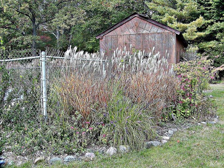 fall finery in the small house garden, flowers, gardening, hydrangea, Ornamental grasses are the bones for this corner bed nestled up against the pool house