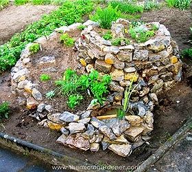 how to build a herb spiral garden, diy, flowers, gardening, homesteading, how to, perennial, Seedlings are planted into the herb spiral with sun lovers at the top and shady characters water babies at the bottom