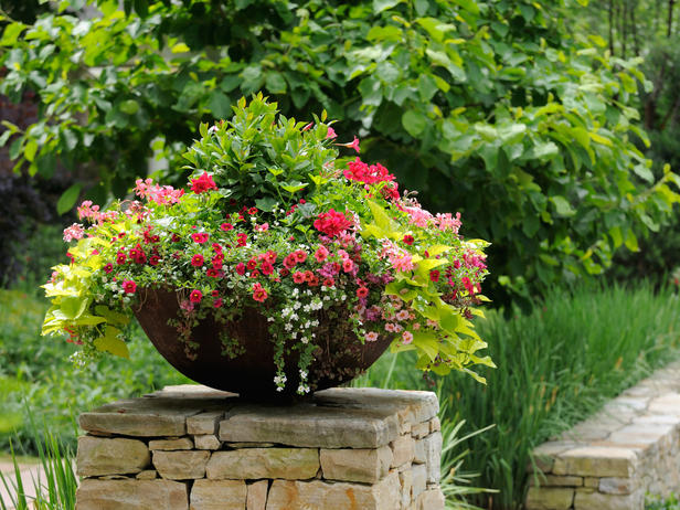 a radical idea for container gardens, container gardening, flowers, gardening, Thriller filler spiller Time to rethink that says Annie Hayes Photo via HGTV com
