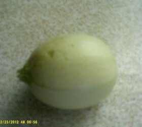 does anyone know what this squash is, gardening, Squash
