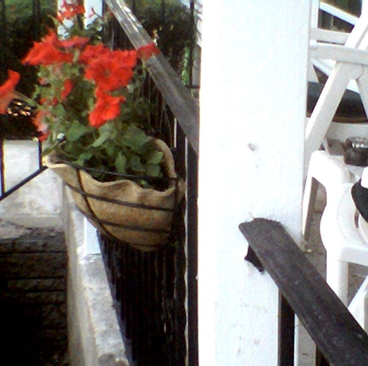 a few little changes to the front porch yard, flowers, gardening, outdoor living, I found these 3 wire baskets in the basement I bought mats hung them on the wrot rail on the front porch and planted red annuals great place for annuals
