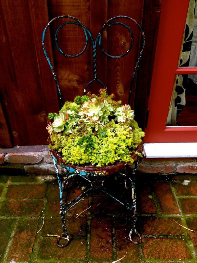 old chair with succulents, flowers, gardening, succulents, easy garden project