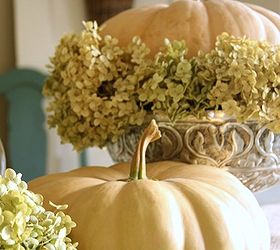 simple pumpkin and hydrangea arrangement, crafts, flowers, gardening, hydrangea, seasonal holiday decor, Set the pumpkin in the middle