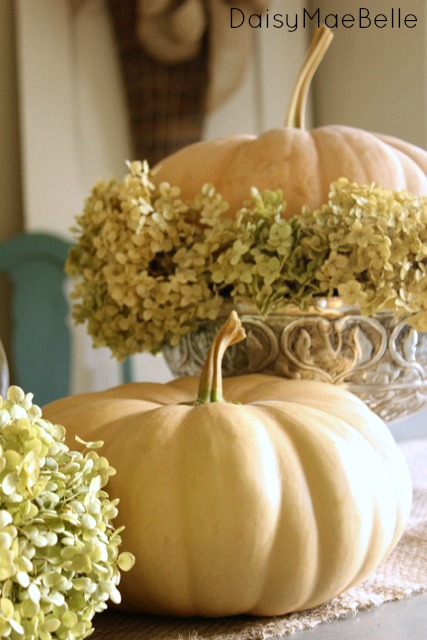 simple pumpkin and hydrangea arrangement, crafts, flowers, gardening, hydrangea, seasonal holiday decor, Set the pumpkin in the middle