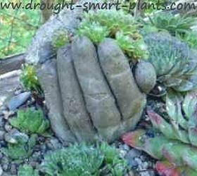 it s hypertufa time, concrete masonry, gardening, succulents, The now infamous picture of the Hypertufa Hands this caught a lot of peoples eye and launched hypertufa into the spotlight as a unique and unusual material that can be used so creatively