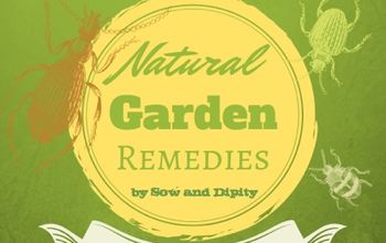Control Common Garden Pests the Natural Way
