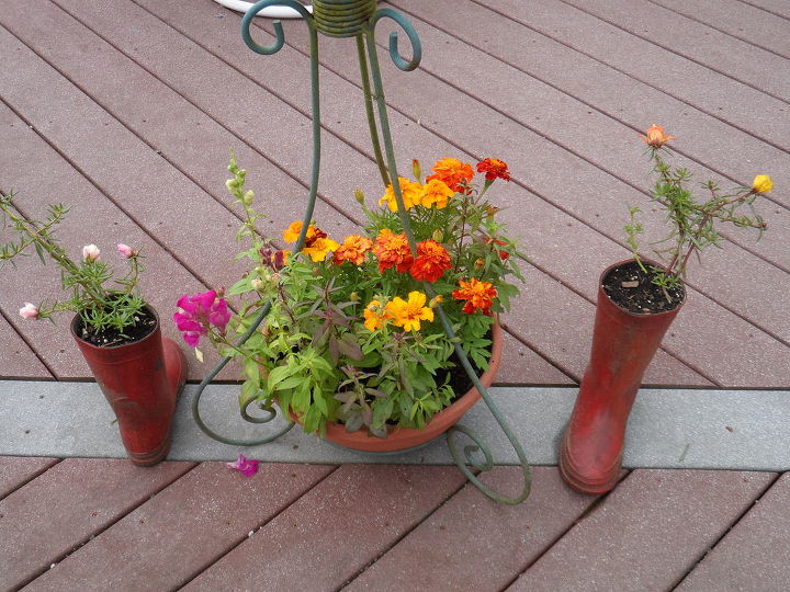 how i spent my 250 home depot gift card that i won on hometalk, flowers, gardening