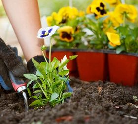 green thumb six steps to starting your your own garden, flowers, gardening