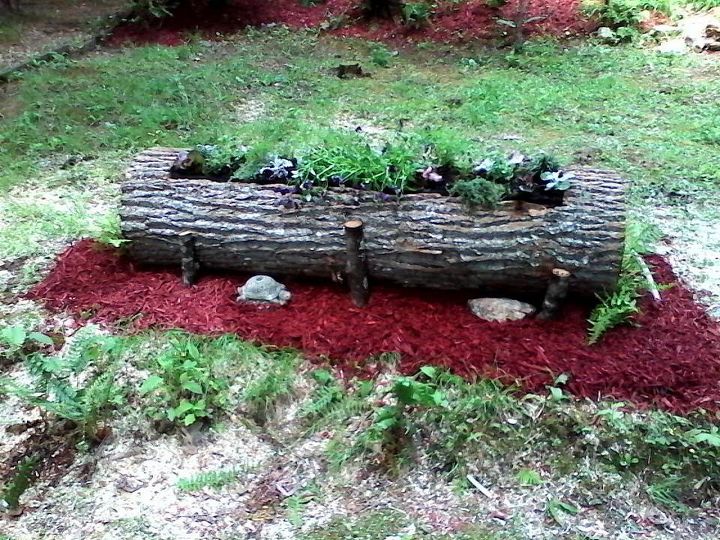 dead tree gets new life, gardening