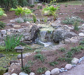 professional pond builders perspective on a backyard pond makeover in before during, outdoor living, ponds water features, Stream creativity Integrated driftwood that was picked from a local river system