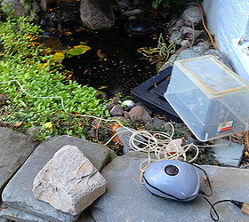 10 tips for preparing your pond for the winter, outdoor living, perennial, ponds water features, Tip 6 If you have Fish add an Aerator or small Re circulating Pump that bubbles at the surface to oxygenate the water and allow gases from decomposing leaves and plants to escape Theses gases are harmful to the fish
