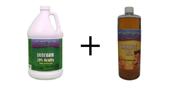 really killing weeds with vinegar, flowers, gardening, You need at least a 10 20 vinegar plus horticultural orange oil or other citrus oil