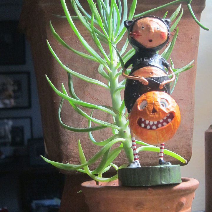 conclusion of follow up halloween decor part 4 of 4, flowers, gardening, halloween decorations, seasonal holiday d cor, succulents, thanksgiving decorations, Miss MEOW in my SUCCULENT GARDEN