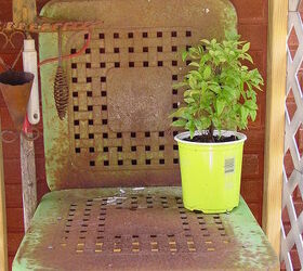 a stroll to my potting area with camera in hand, gardening, outdoor living, repurposing upcycling, I spotted this old metal yard chair in a nearby neighborhood It was on a porch that was obviously never used for sitting just storing things It was free for the asking