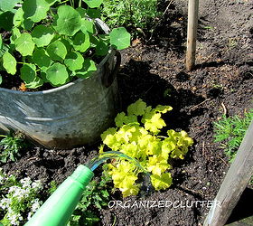 fertilizer tips tricks that work for me, container gardening, flowers, gardening, landscape, perennial, Mix one scoop full of fertilizer to two gallons of water