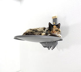 furniture for pets, painted furniture, pets animals, A discarded satellite dish repurposed as a cat lounging spot on the wall