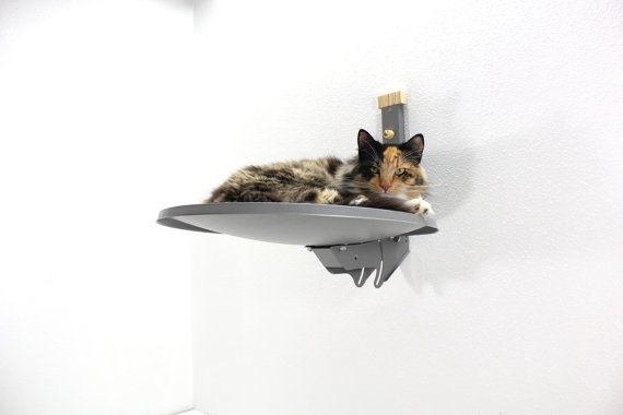furniture for pets, painted furniture, pets animals, A discarded satellite dish repurposed as a cat lounging spot on the wall