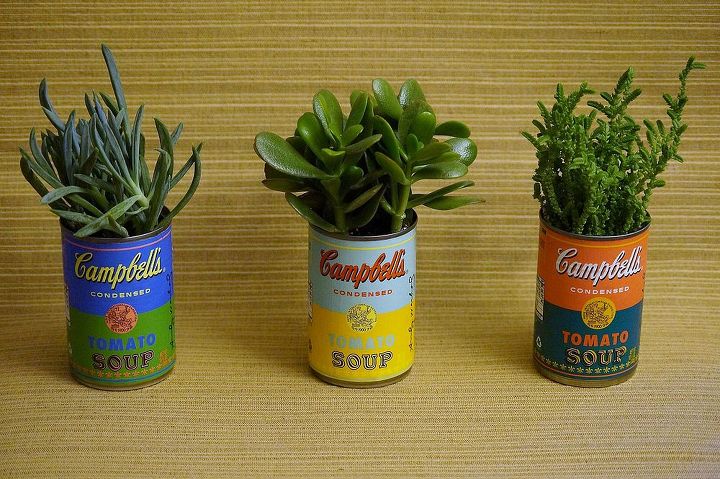 soup can planters, gardening, repurposing upcycling, succulents, I purchased a few succulents from Home Depot and replanted them in each can