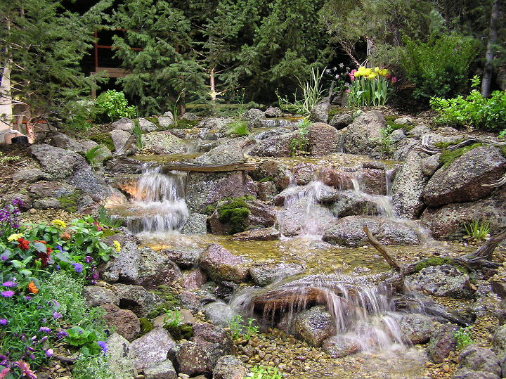 water gardening ponds water features waterfalls koi ponds outdoor lifestyles, outdoor living, ponds water features, A beautiful pondless surrounded by pine trees